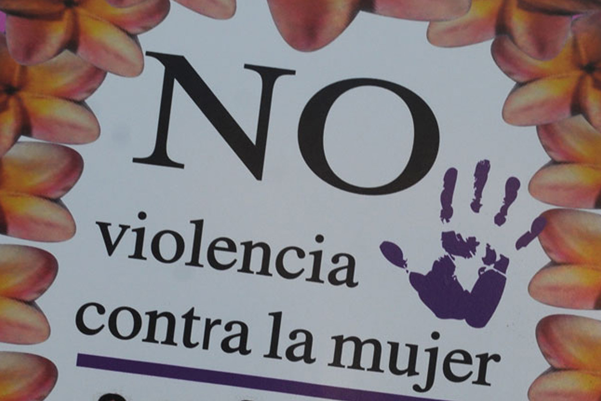 25 de Noviembre:  Día Internacional de la No Violencia contra las Mujeres