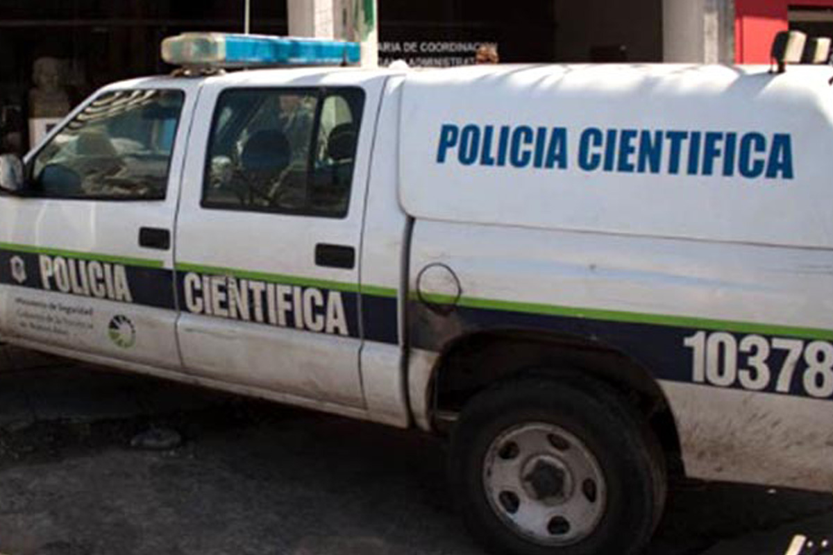 Mar del Plata: triple crimen en presunto ajuste de cuentas