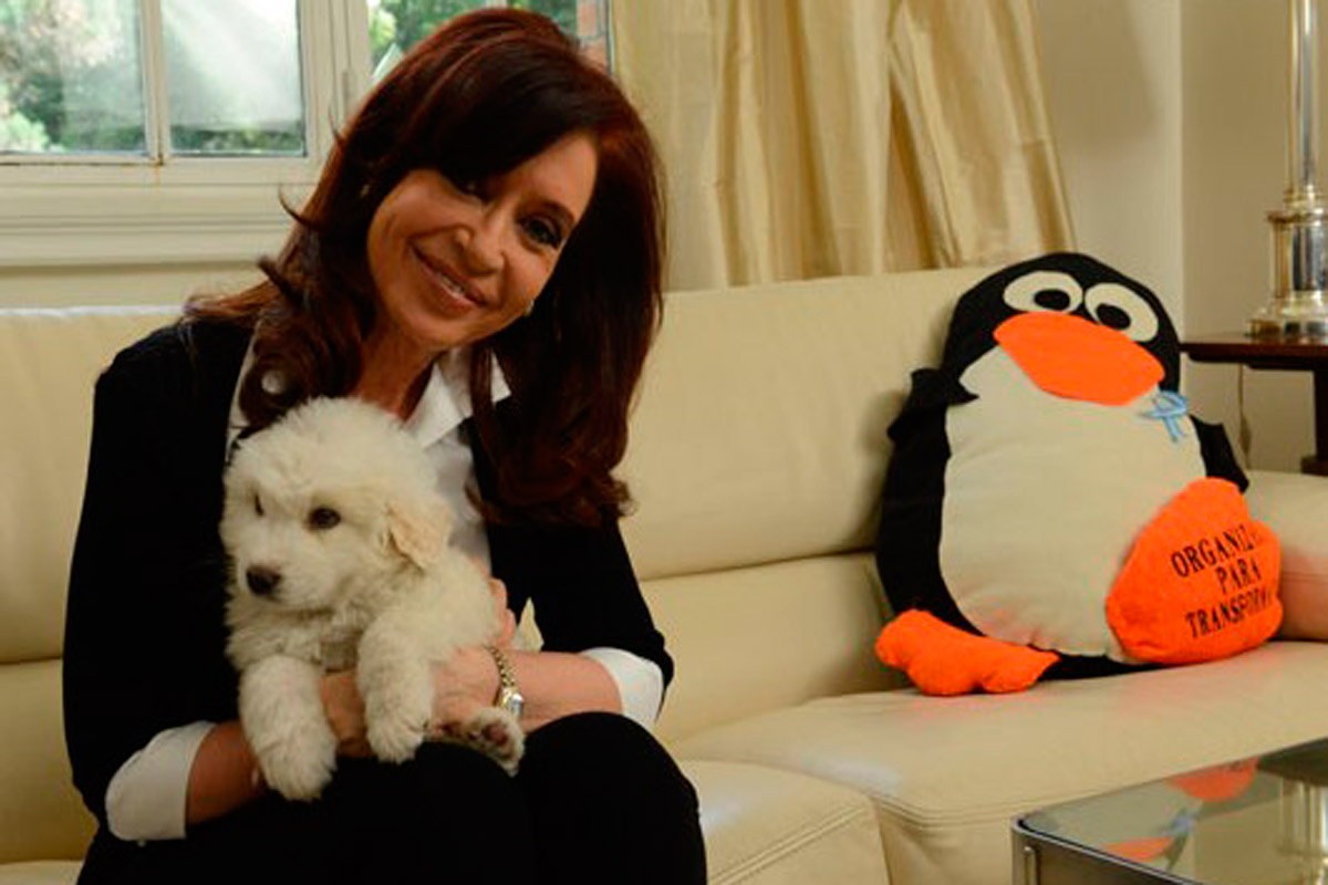 Cumpleaños de Cristina y saludos del presidente chino
