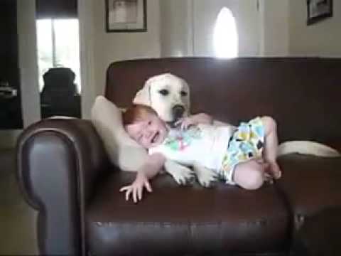 Excelente combinación: perros y bebés juntos