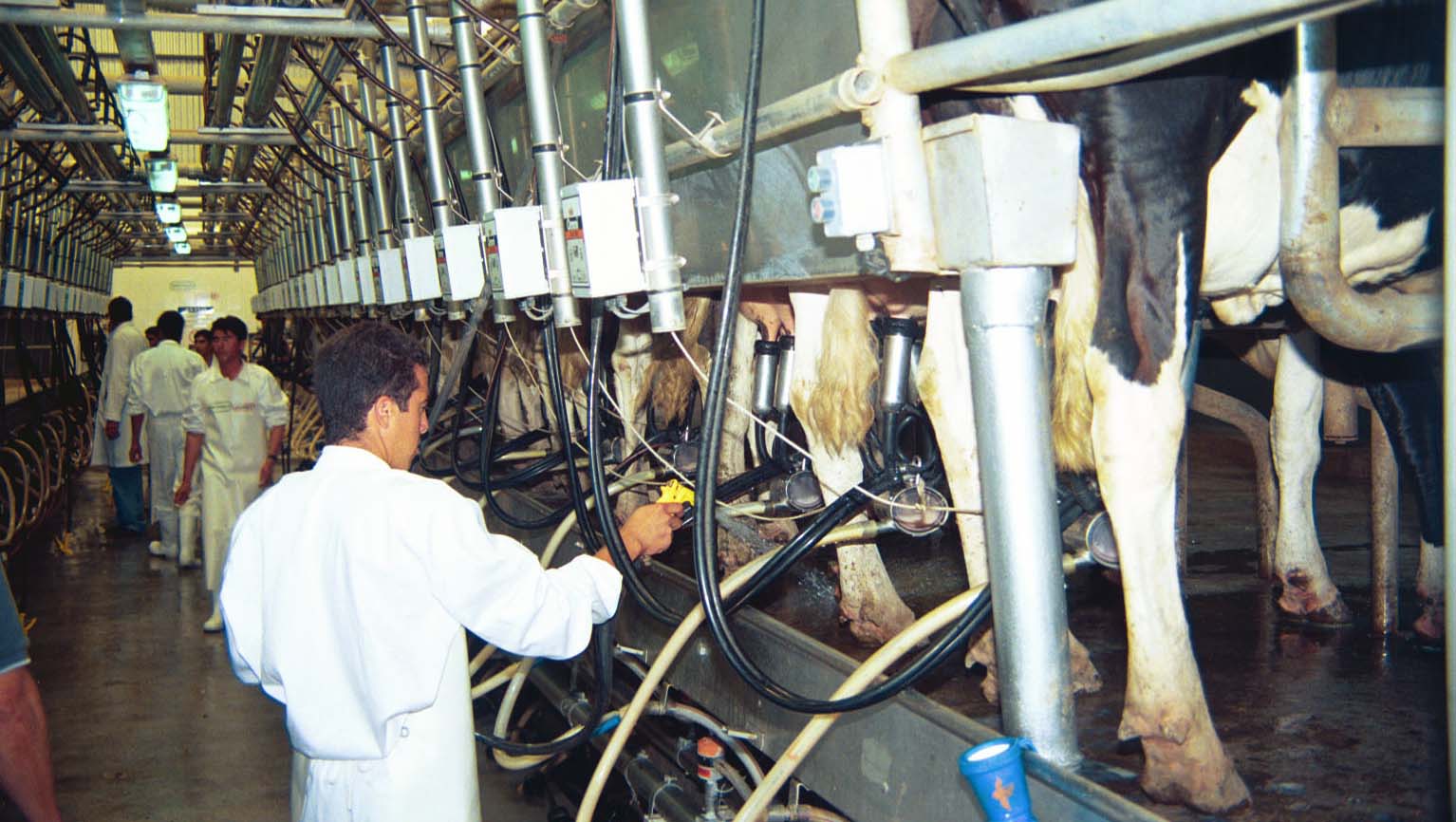 Fascendini convocó a nueva reunión entre productores y empresas lácteas