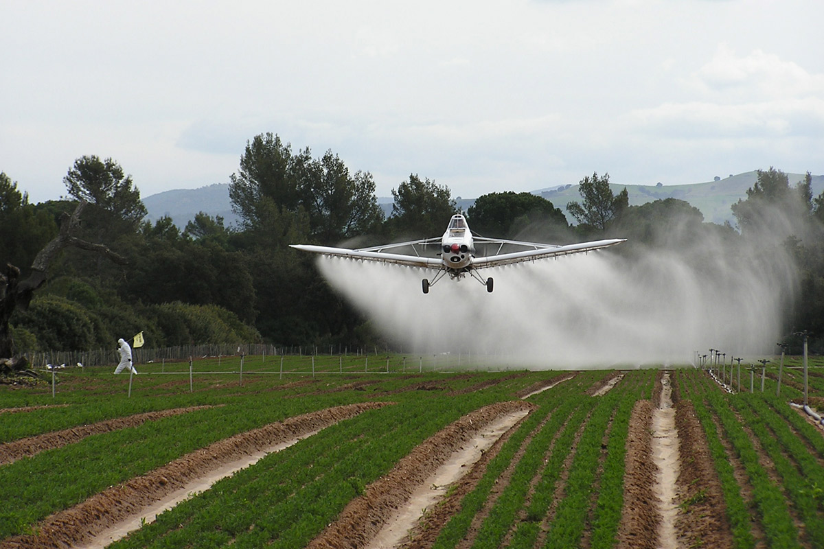 OMS: herbicidas usados en Argentina son cancerígenos
