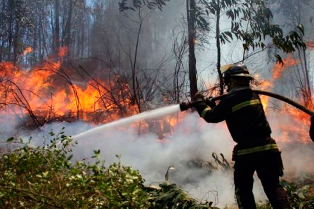 Incendios forestales consumen casi 11.000 hectáreas en Chile