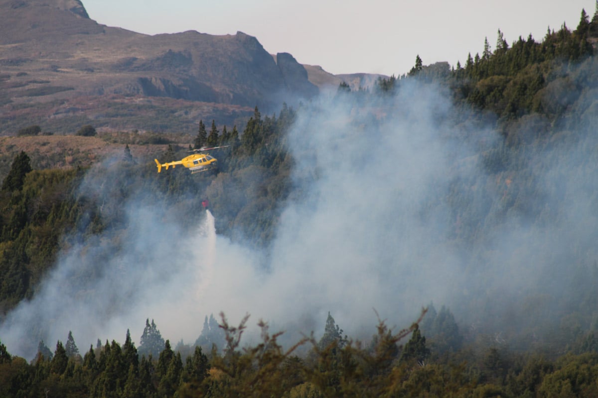 Caratulan de intencional el incendio en Los Alerces