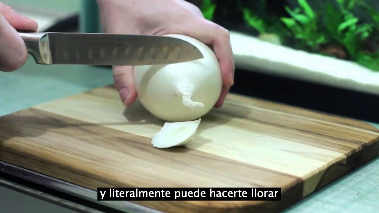 10 cosas que probablemente no sabías de tu microondas