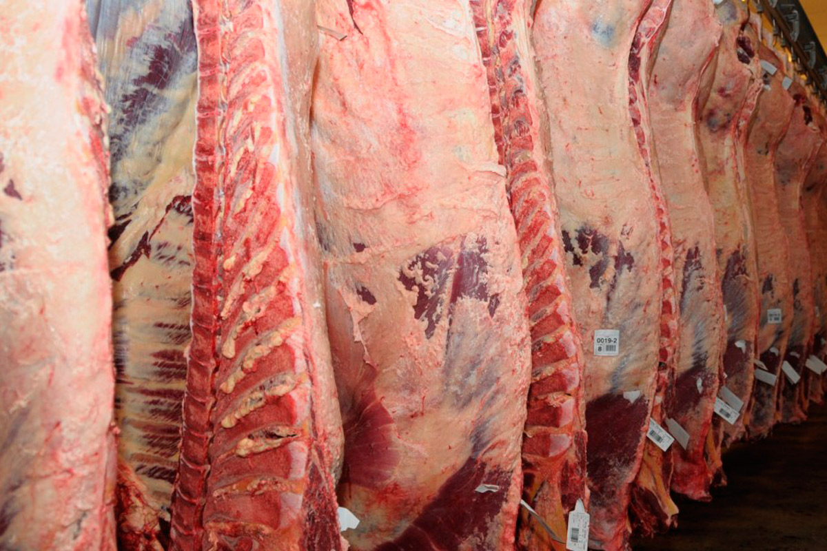 China: mercado potencial para la carne vacuna argentina