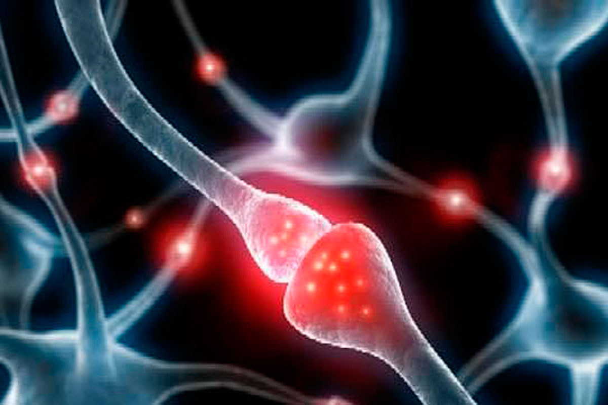 Revelan la causa del Alzheimer