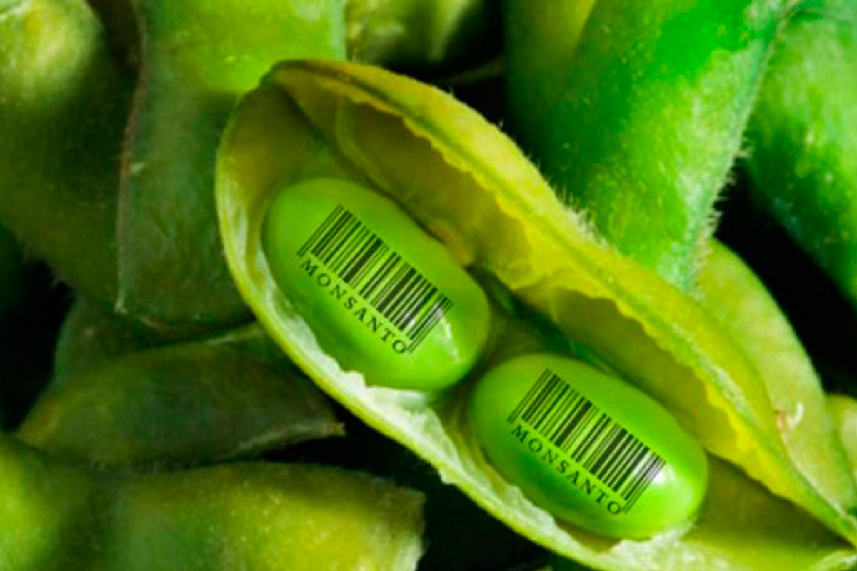 La mesa de Enlace denunció a Monsanto
