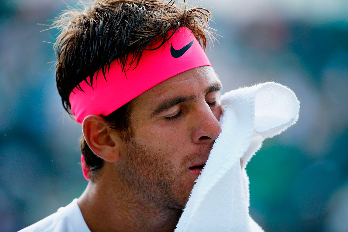 Juan Martín Del Potro se bajó de Roland Garros