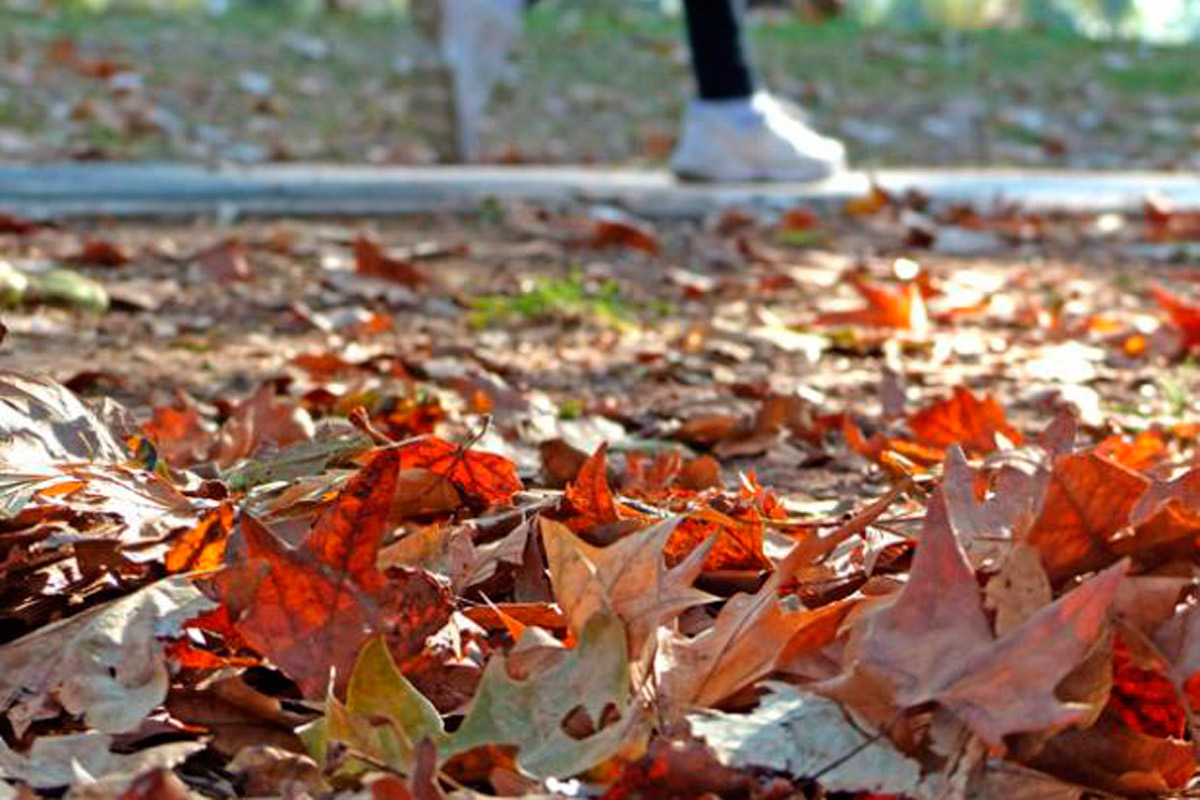 Un día propio de otoño en la ciudad