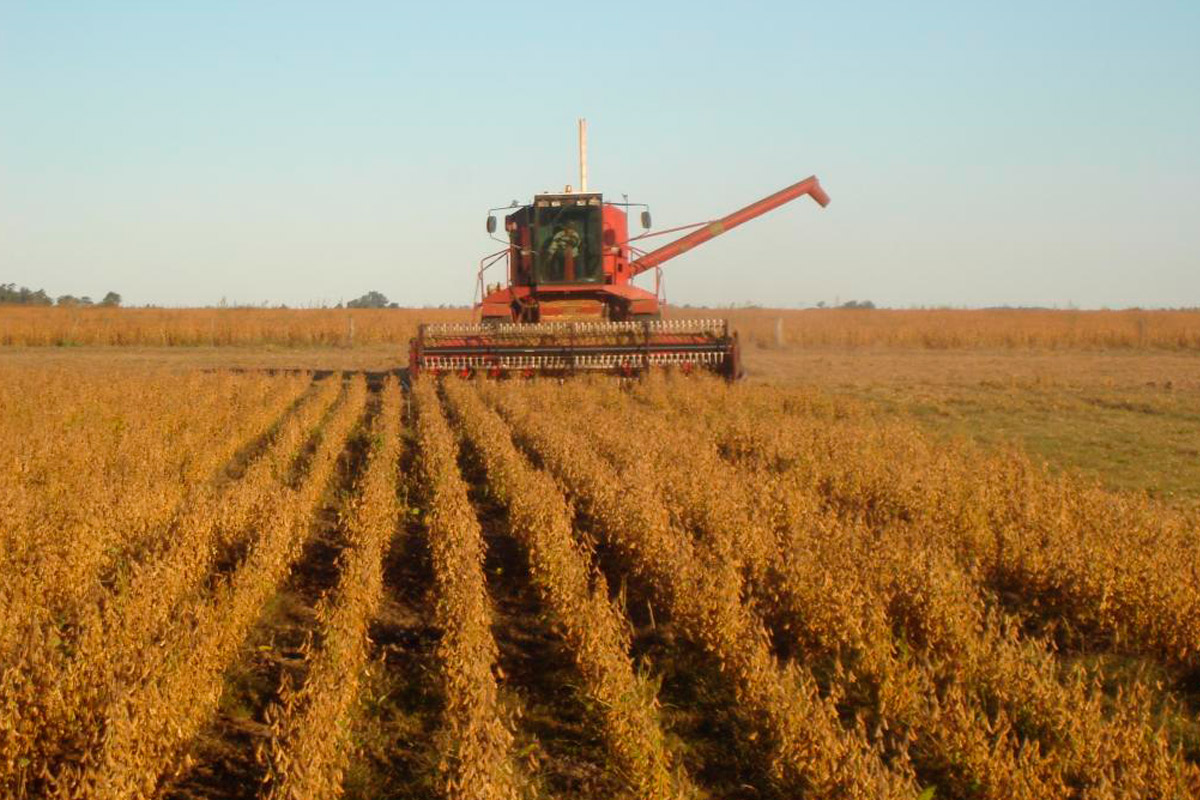 Se cosecharon más de 57 millones de toneladas de soja
