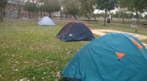 carpas