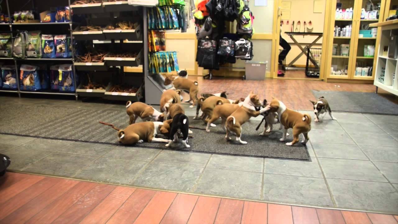 Todos viviendo bajo el mismo techo