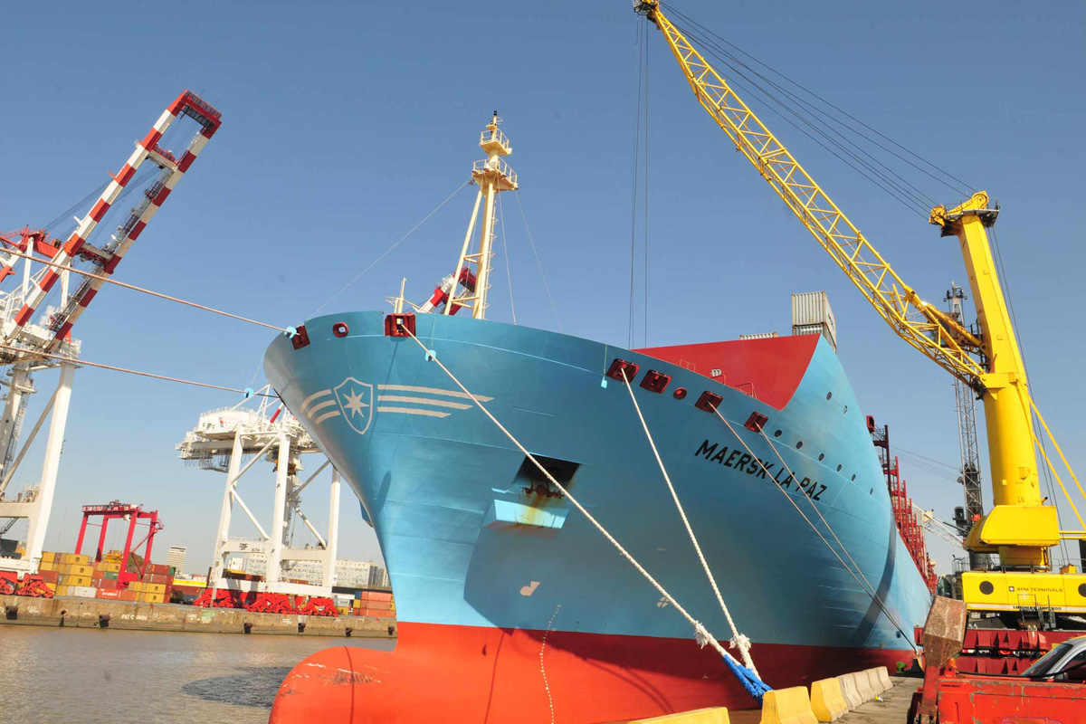 Por un despido cesan tareas en el puerto de Buenos Aires