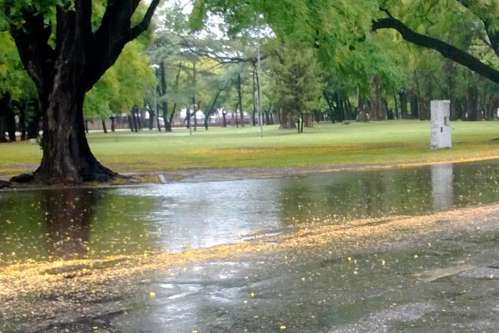 Lluvia3
