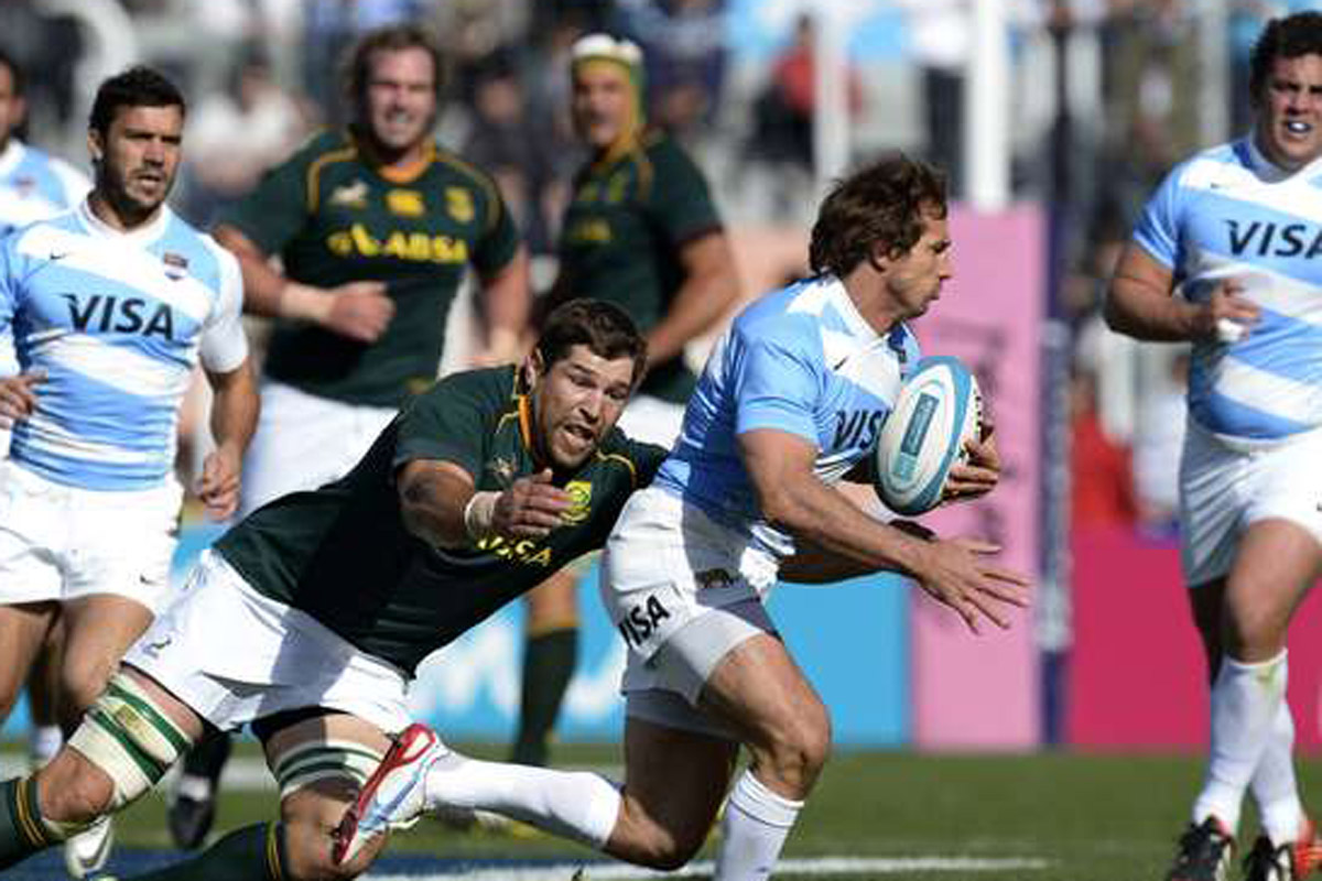 Los Pumas buscan repetir la hazaña ante Sudáfrica