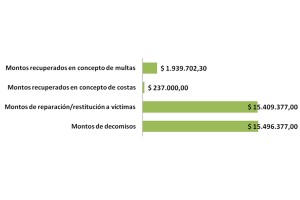 grafico 5