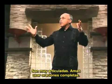 El cerebro femenino vs el masculino…imperdible