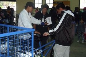 Andando4