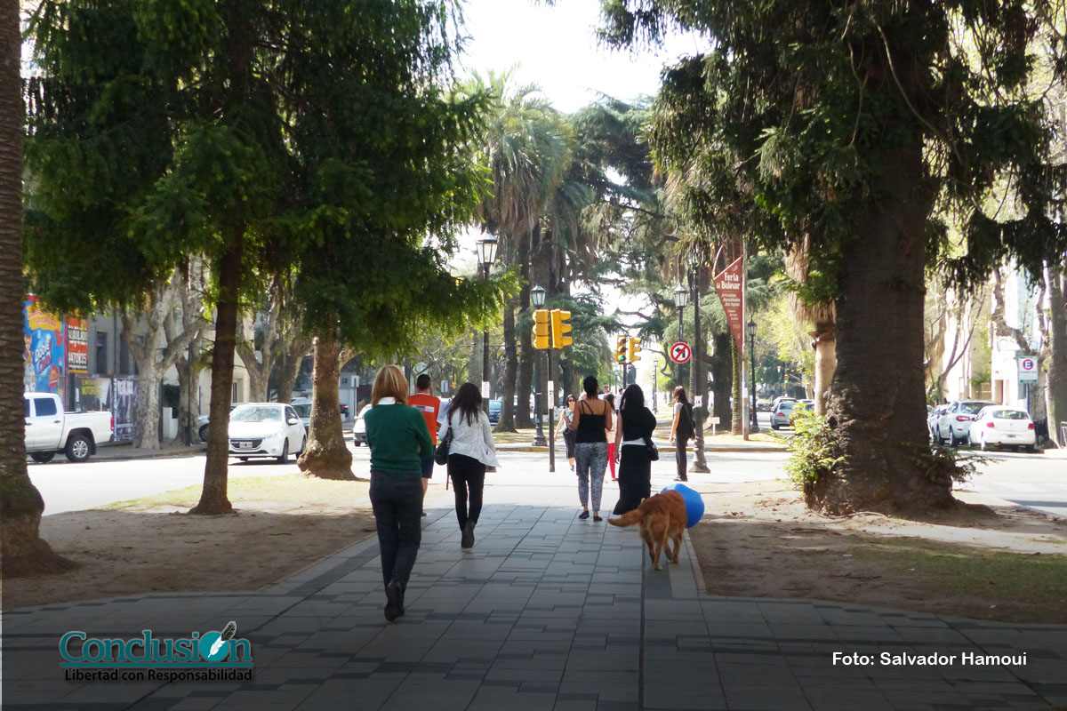 Polémica por la posible ciclovía sobre bulevar Oroño