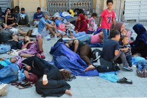 Migrantes2