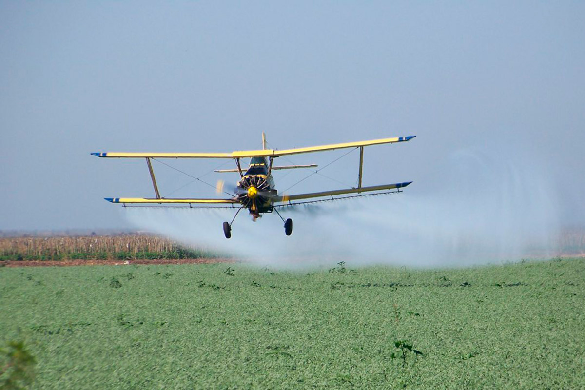 Ocho de cada diez frutas y verduras están contaminadas