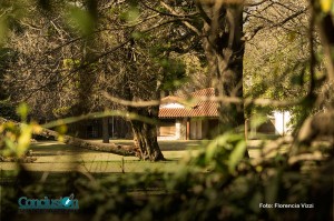 quinta_de_funes7_fvizzi