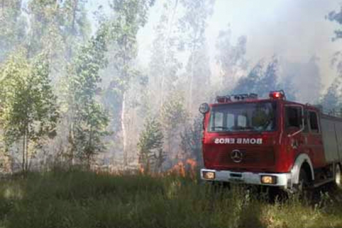 Hubo un incendio en el bosque de la planta de Celulosa