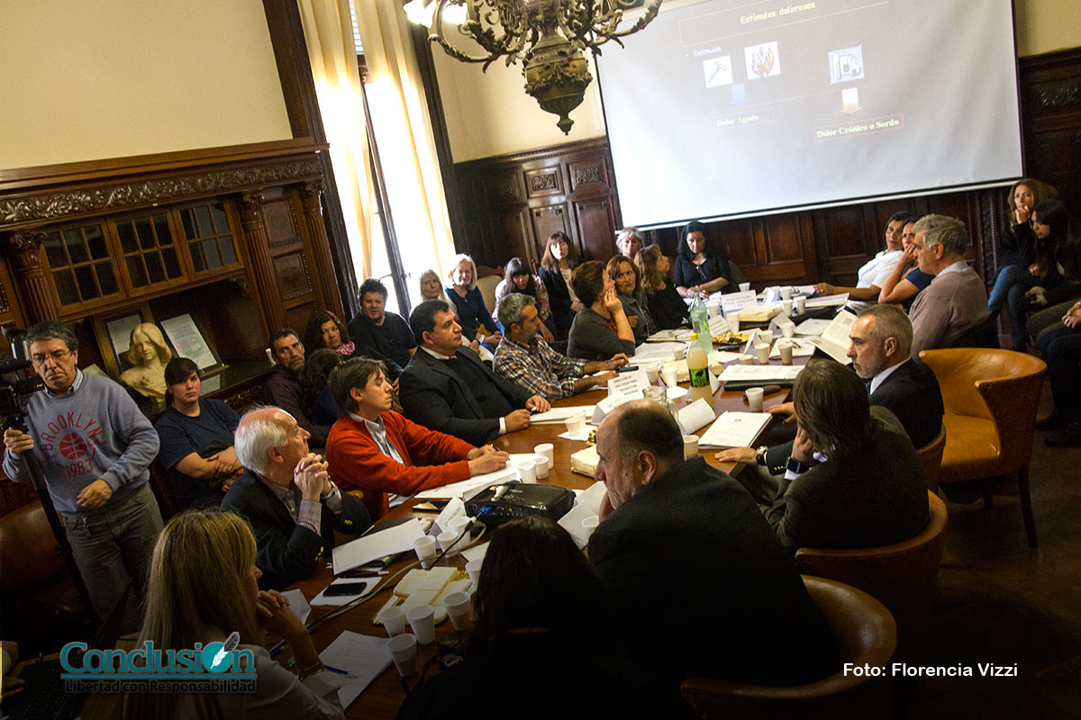 Fibromialgia, un tema que se empezó a debatir en el Concejo