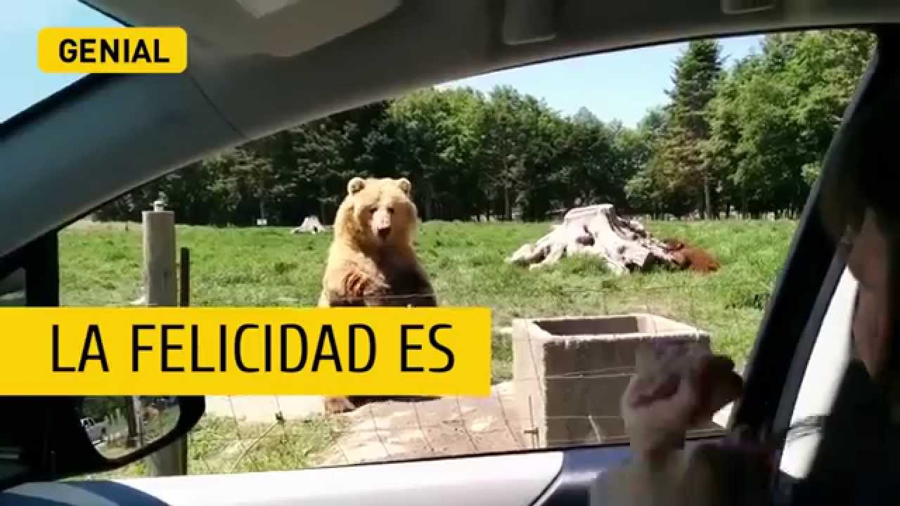 La felicidad es… ¡Genial!