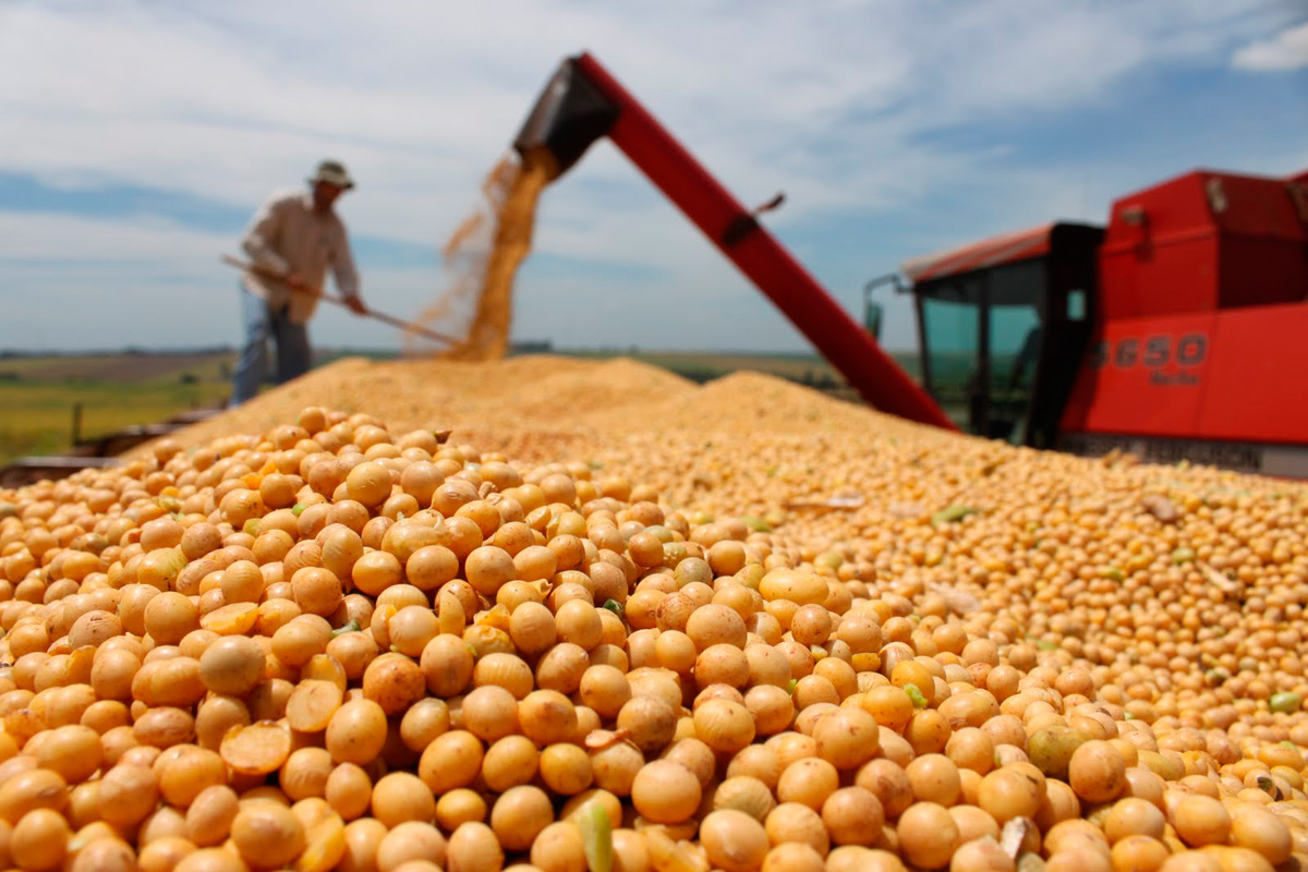 Macri eliminará retenciones de granos y bajará 5% la de la soja