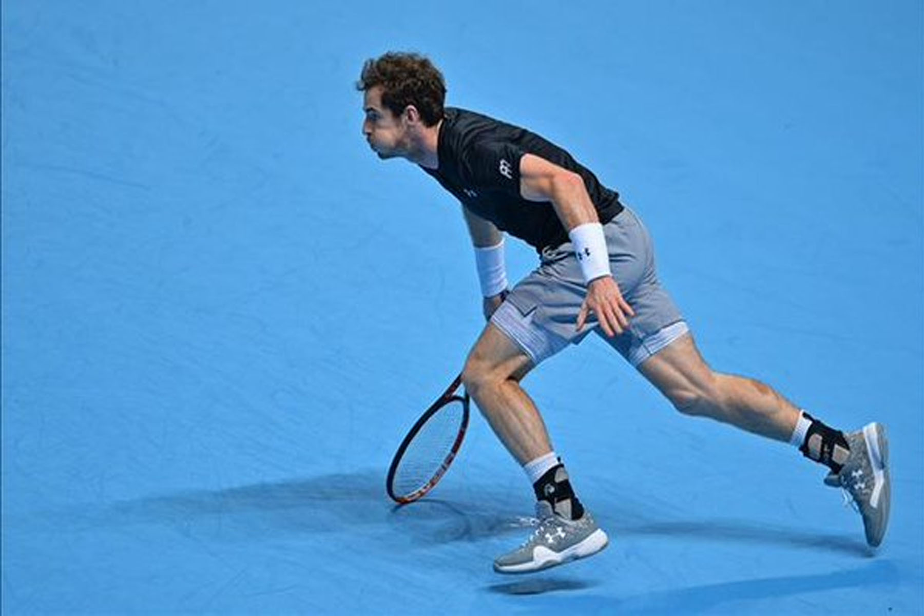 Tenis: Murray venció a Ferrer en el ATP World Tour