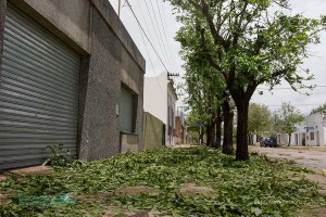 san_jerónimo5_fvizzi