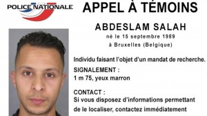 terrorista ocho