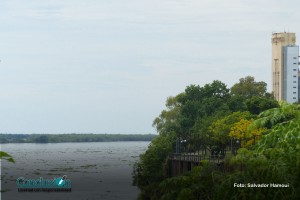 Paraná crecido