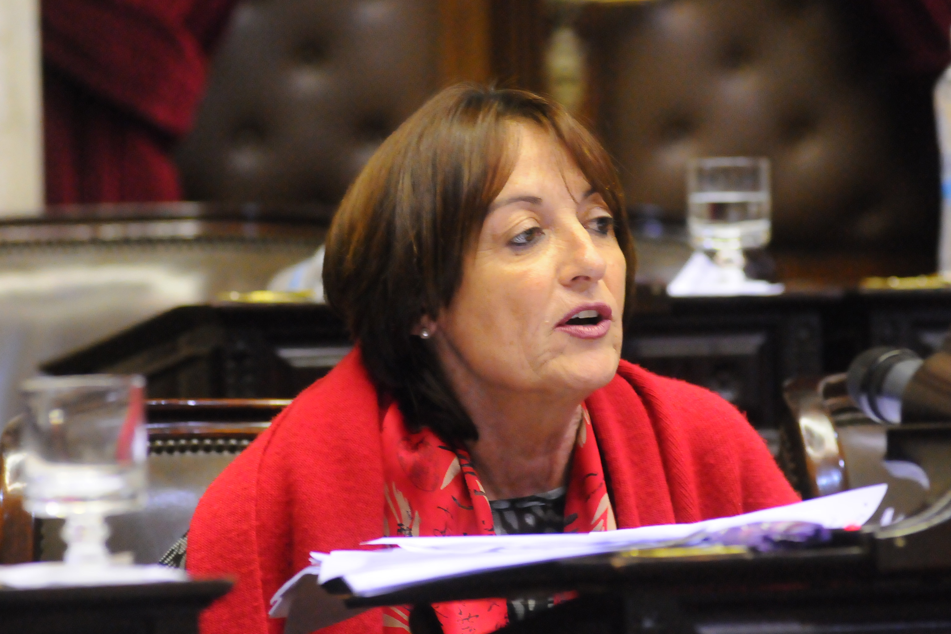 Ciciliani: «No permitamos un robo a la ciudadanía»