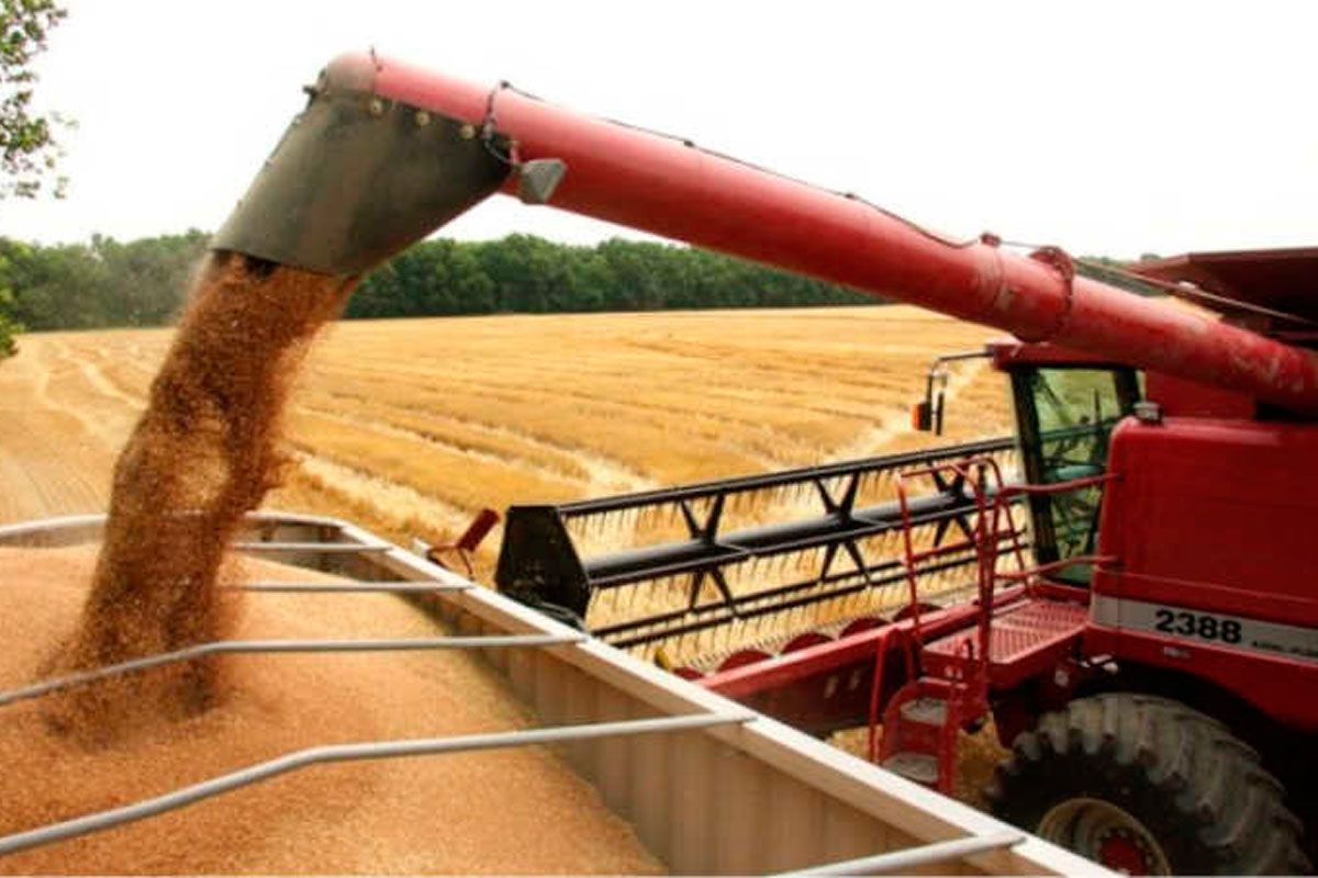 Agropecuarios guardan parte de cosecha por «devaluación»