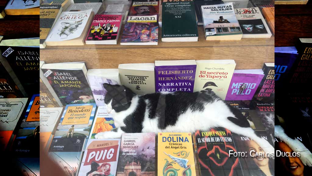 Entre Lacan y Dolina, en El Aleph, está él o ella, apartado del vano ruido mundano.