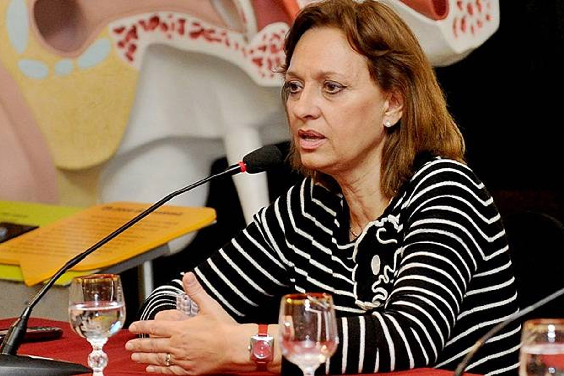 Balance positivo en la gestión del área de Inclusión