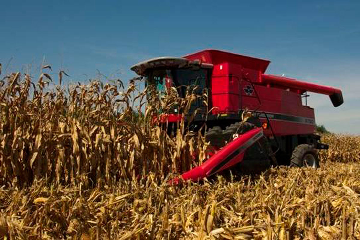Sector agropecuario liquidó casi 20 mil millones de dólares