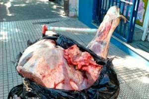 Carne