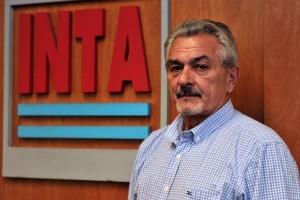 amadeo nicora