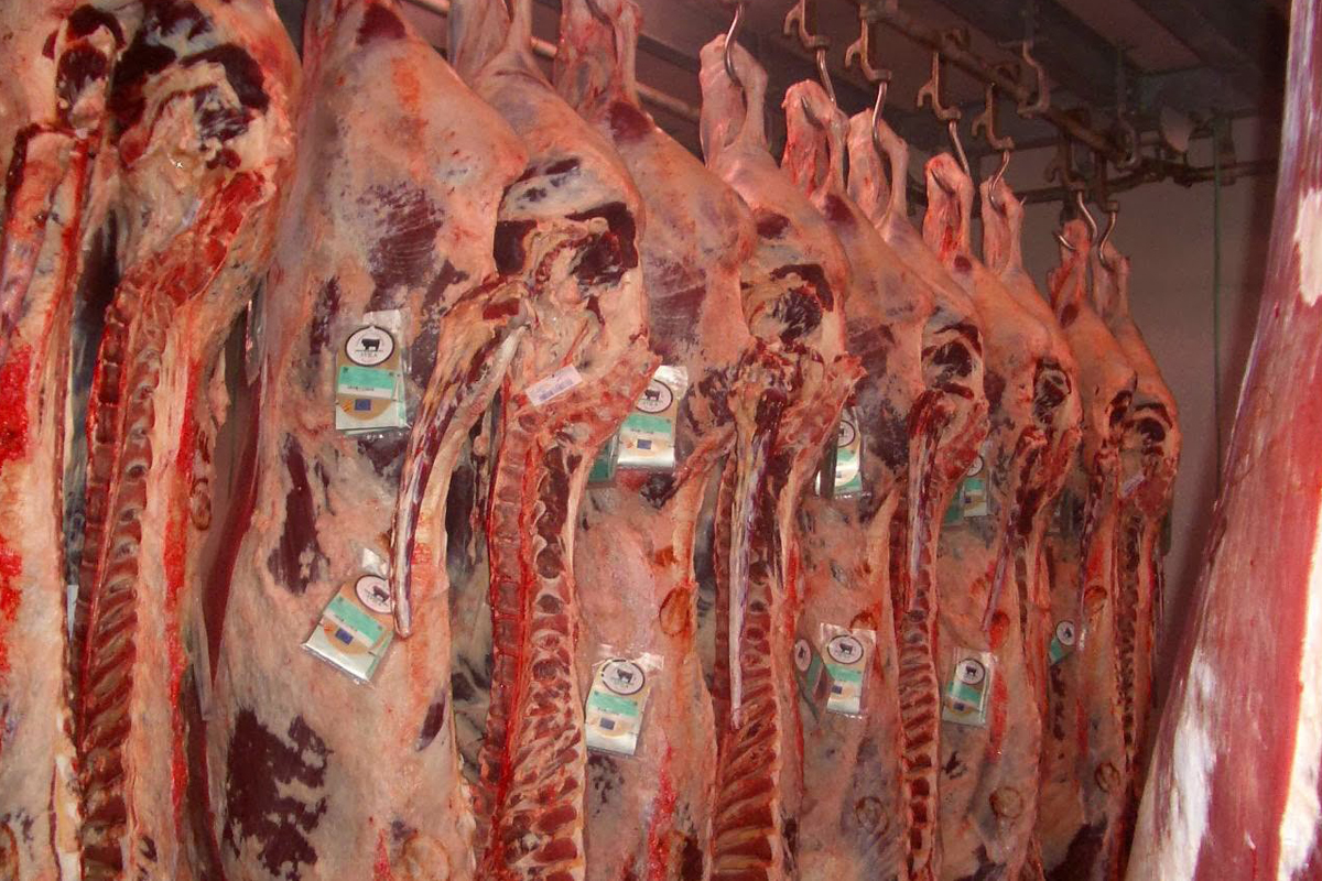 Ruralistas afirman: «El precio de la carne no va a bajar»