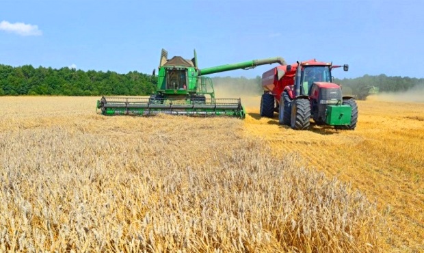 Cerealeras liquidaron la mitad de lo que esperaba el Gobierno