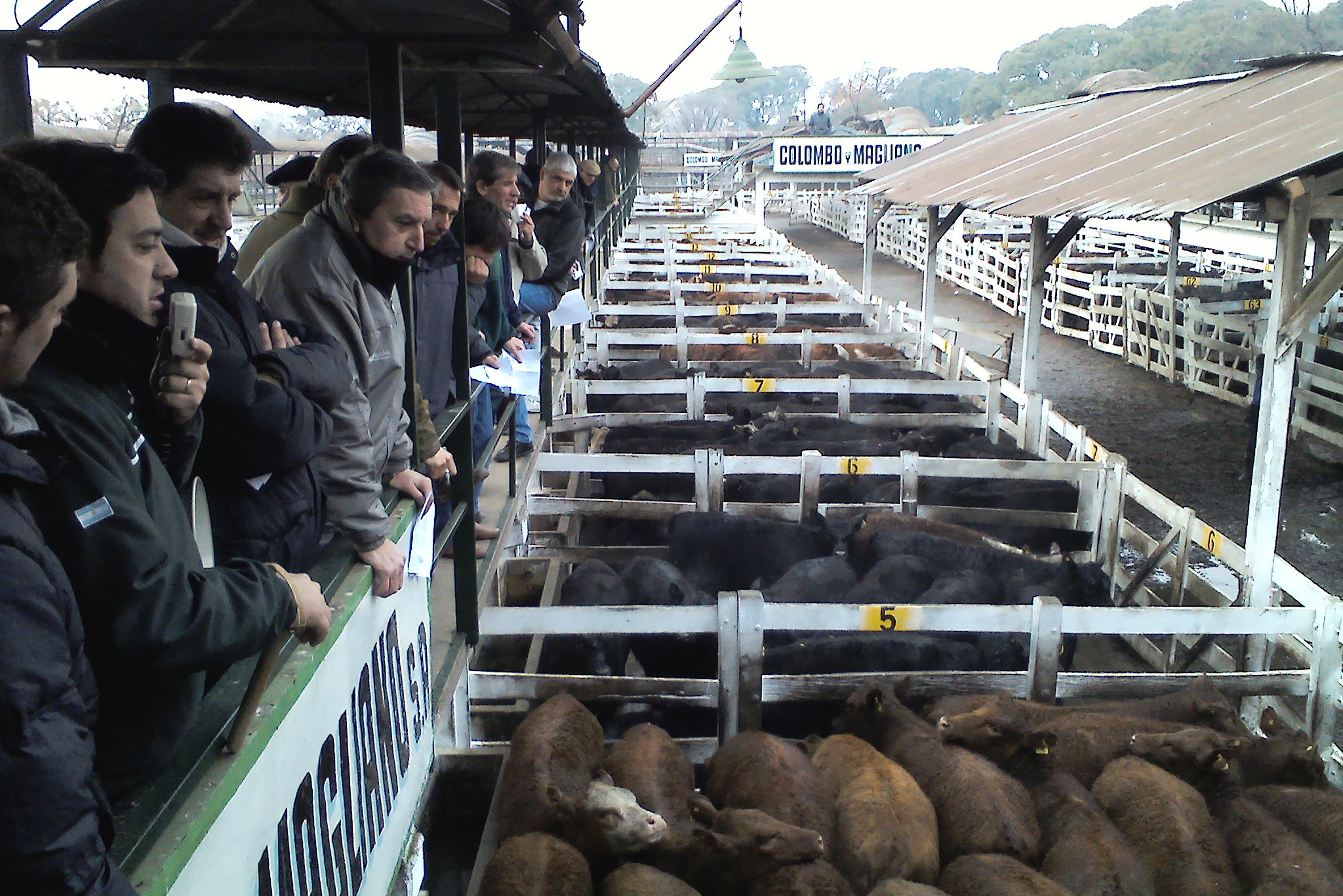 «Los carniceros no especulan con el precio de la carne»