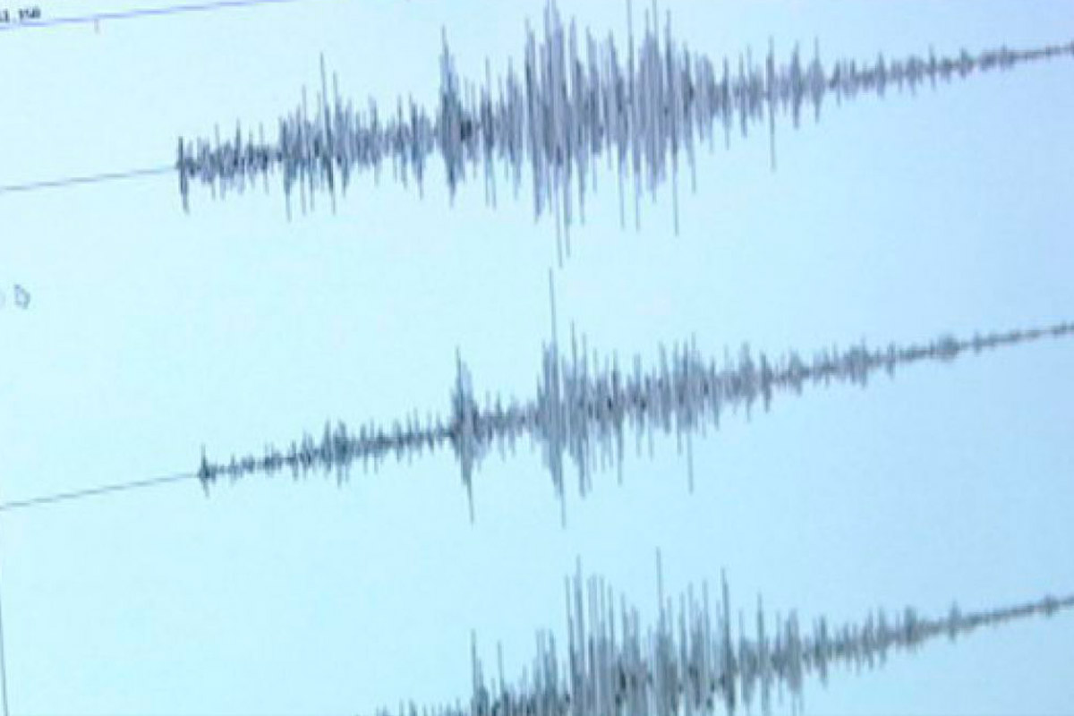 Un terremoto de 7.1 grados sacudió el sur de Alaska