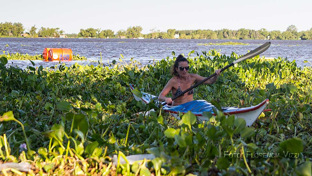 La disyuntiva entre salir a remar para combatir el bochorno que provocan las altas temperaturas o quedar atrapados en las fauces de voraces camalotes…