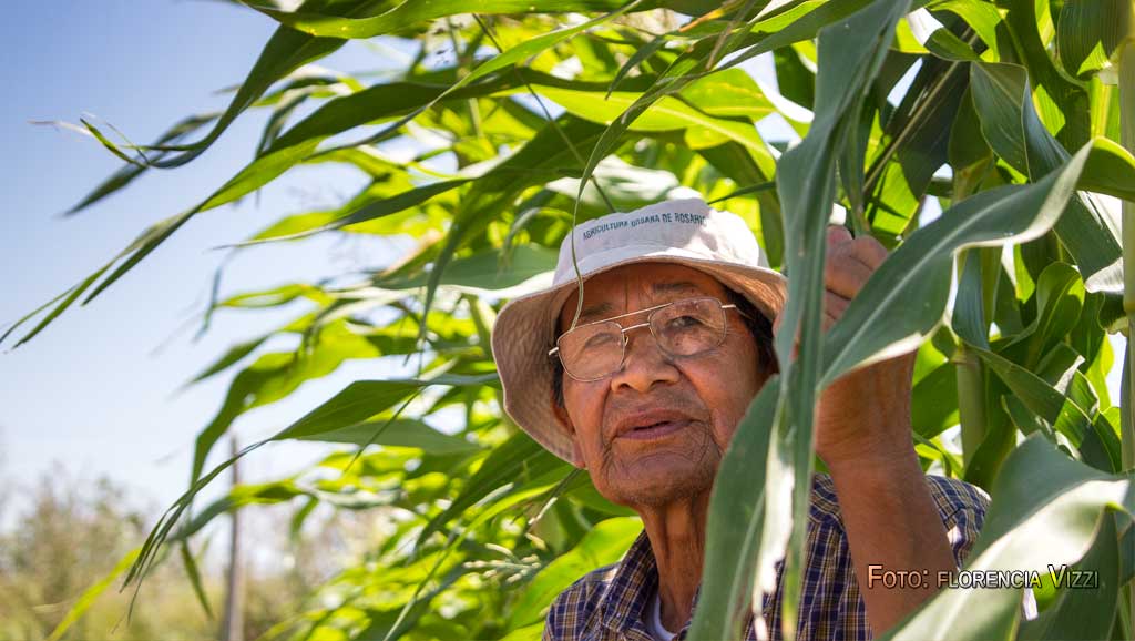 «Sin importar la edad ni la condición todos podemos aprender y recibir de la tierra». Palabras de un agricultor que encontró su oficio en el programa de Huertas Comunitarias de Rosario