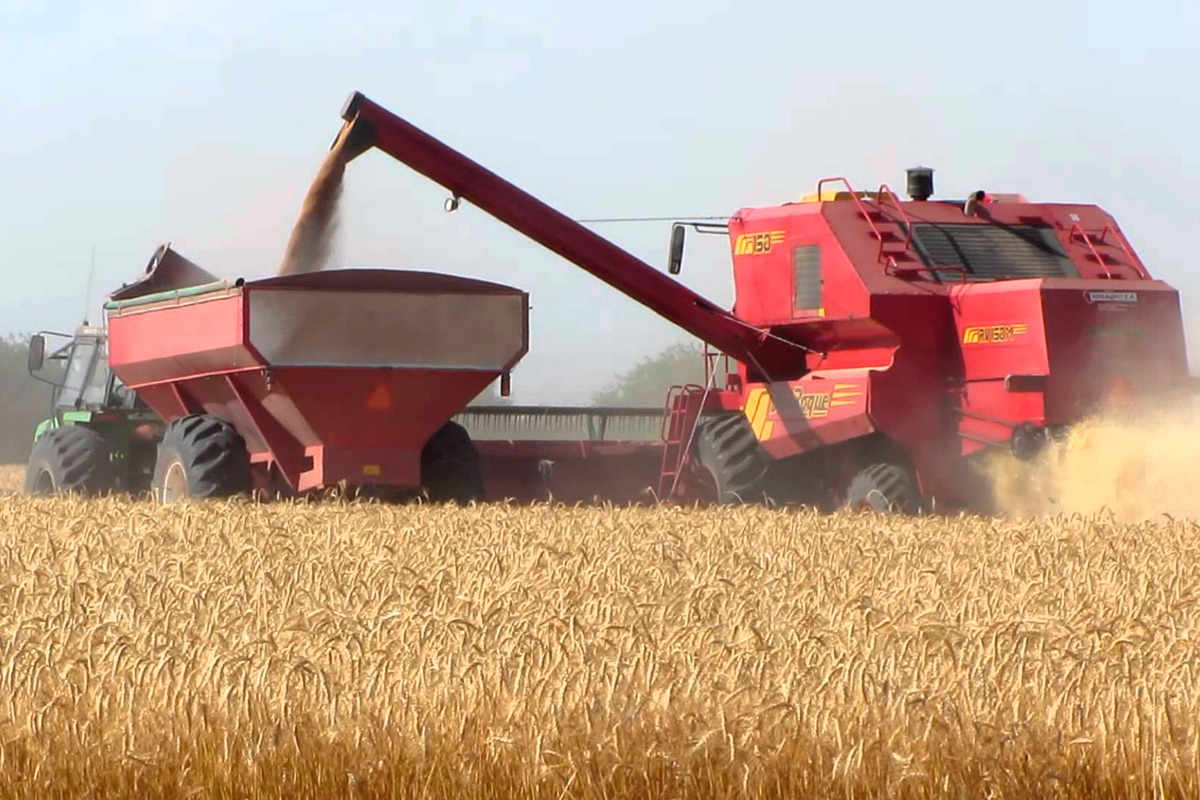 Productores denuncian distorsión en venta de granos