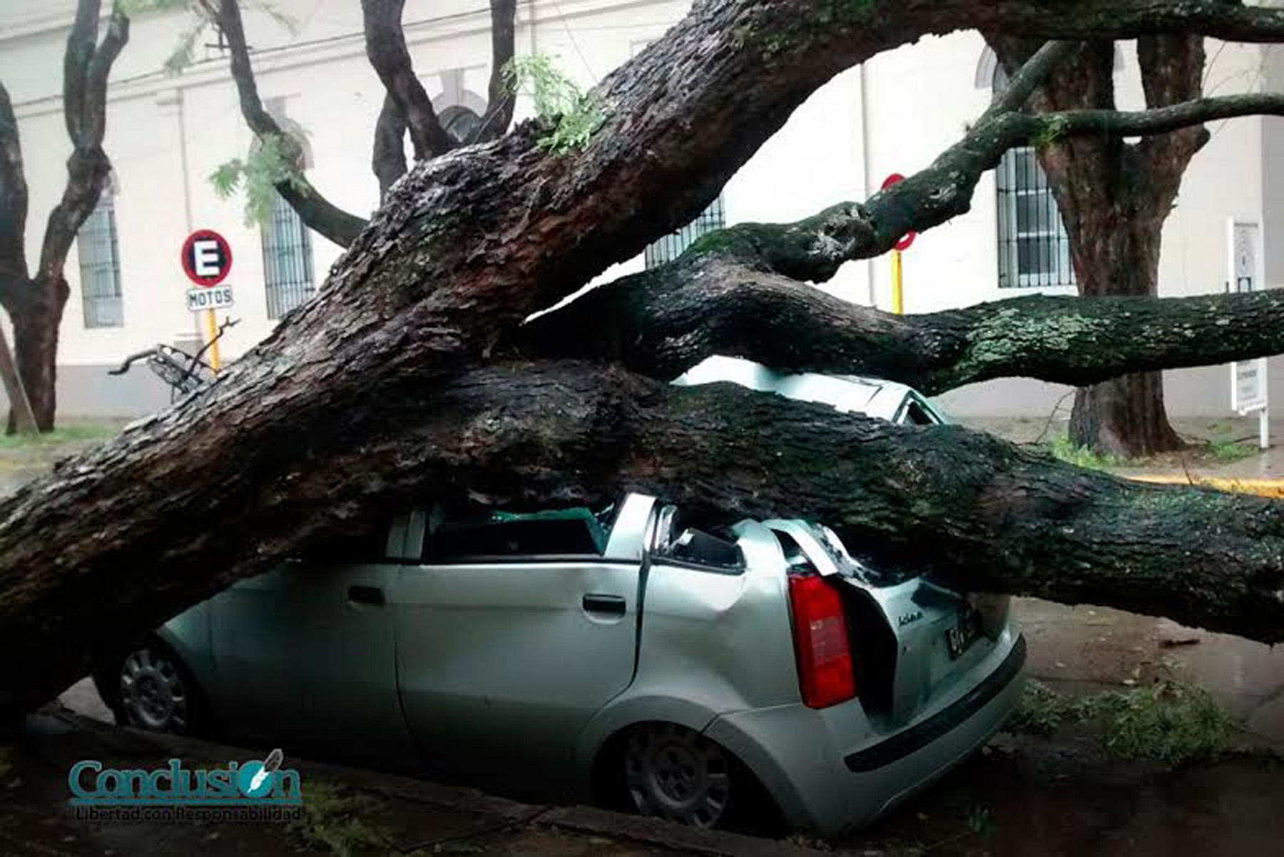 La tormenta que afectó a Rosario y gran parte de la región, dejó un saldo dramático: una muerte, derrumbe de inmuebles, anegamientos y árboles caídos que provocaron serios destrozos